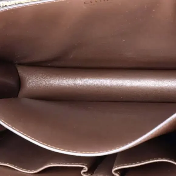 Celine Classic Box Bag Lizard Medium #210789C23B - Picture 5 of 6